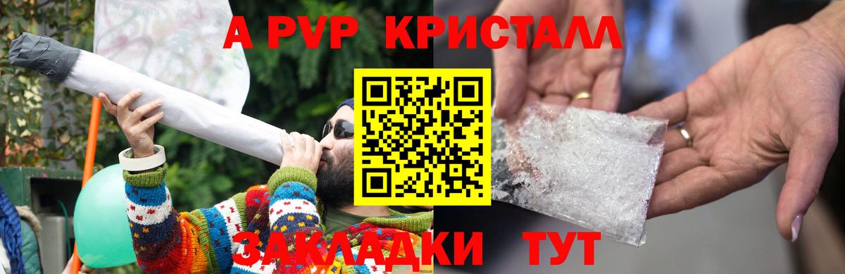 Альфа ПВП крисы CK Новороссийск