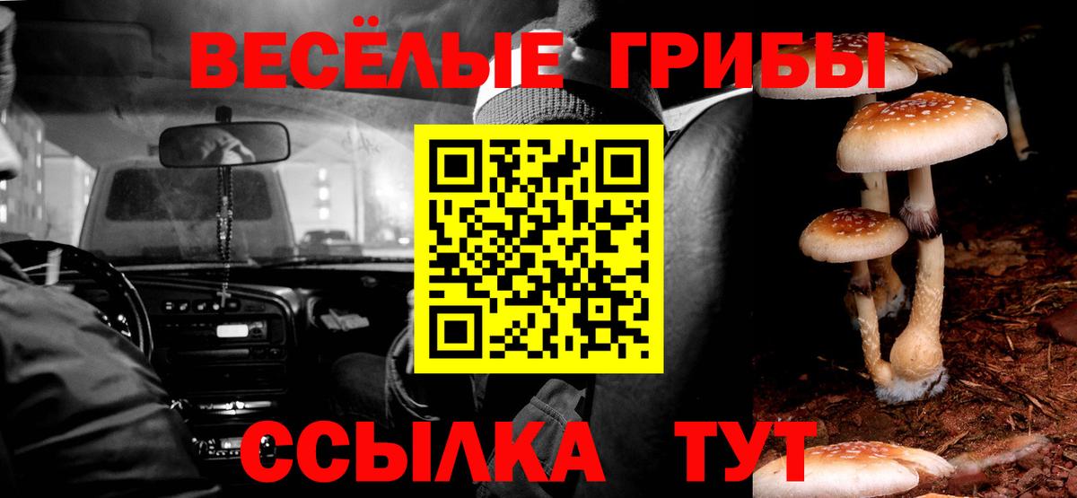 Новороссийск  Галлюциногенные грибы Psilocybine cubensis  Вход с VPN 